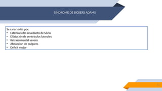 hidrocefalia ligada al cromosoma x[1].pptx