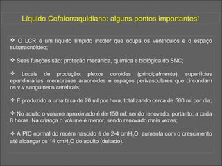 Hidrocefalia na Infância | PPT