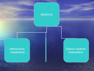 MARCHA
Alteraciones
metabólicas
Edema cerebral
Hidrostático.
 