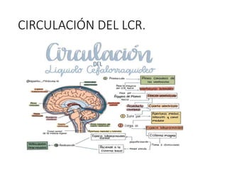 HIDROCEFALIA Y CUIDADOS DE ENFERMERIA DE DRENAJE VENTRICULAR.pptx