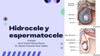 Hidrocele y
espermatocele
Urología
Kevin Daniel Garcia Rostro
Dr. Gastón Eduardo Silva Valdes
 