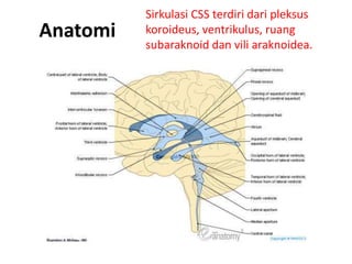 Anatomi
Sirkulasi CSS terdiri dari pleksus
koroideus, ventrikulus, ruang
subaraknoid dan vili araknoidea.
 