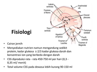 Fisiologi
• Cairan jernih
• Menyediakan nutrien namun mengandung sedikit
protein, kadar glukosa ± 2/3 kadar glukosa darah dan
konsentrasi ion yang berbeda dengan darah
• CSS diproduksi rata - rata 450-750 ml per hari (0,3 -
0,35 ml/ menit)
• Total volume CSS pada dewasa lebih kurang 90-150 ml
 