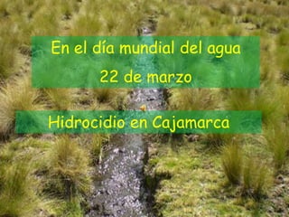 En el día mundial del agua
      22 de marzo

Hidrocidio en Cajamarca
 