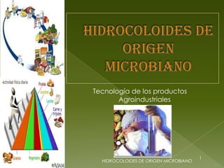 HIDROCOLOIDES DE ORIGEN MICROBIANO Tecnología de los productos Agroindustriales 1 HIDROCOLOIDES DE ORIGEN MICROBIANO 