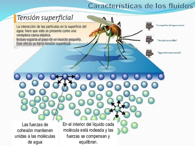 Características de los fluídos