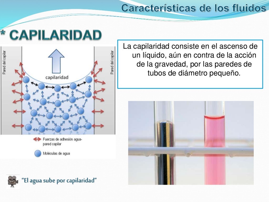 Características de los fluídos