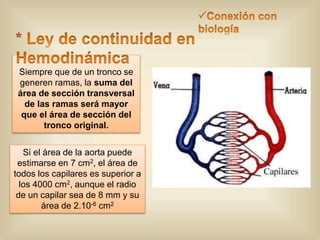 Siempre que de un tronco se 
generen ramas, la suma del 
área de sección transversal 
de las ramas será mayor 
que el área de sección del 
tronco original. 
Si el área de la aorta puede 
estimarse en 7 cm2, el área de 
todos los capilares es superior a 
los 4000 cm2, aunque el radio 
de un capilar sea de 8 mm y su 
área de 2.10-6 cm2 
 
