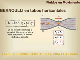 En los tubos horizontales al 
no existir diferencia de altura 
entre dos puntos, el término 
de Epg se cancela. 
 