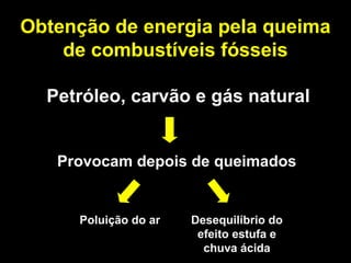 Obtenção de energia pela queima 
de combustíveis fósseis 
Quais as conseqüências para a vida em nosso planeta? 
Petróleo, carvão e gás natural 
Provocam depois de queimados 
Poluição do ar Desequilíbrio do 
efeito estufa e 
chuva ácida 
 