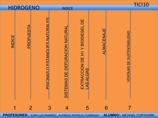 TICI10   HIDROGENO	                INDICE PROPUESTA ALMACENAJE INDICE EXTRACCION DE H1 Y BIODIESEL DE  LAS ALGAS PSICINAS O ESTANQUES NATURALES VENTAJAS DE SUSTENTABILIDAD SISTEMAS DE DEPURACION NATURAL 1         2           3          4            5           6              7 PROFESORES:. JUAN LUIS RAMIREZ_ALFREDO PATRICIO ITURRIAGA     ALUMNO:. MICHAEL CORTHORN  