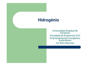 Hidrogênio

       Universidade Estadual de
              Campinas
     Faculdade de Engenharia Civil
     Empreendimentos Energéticos
             Sustentáveis
          Jim Silva Naturesa
 