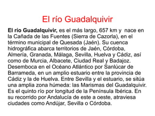 El río Guadalquivir
El río Guadalquivir, es el más largo, 657 km y nace en
la Cañada de las Fuentes (Sierra de Cazorla), en el
término municipal de Quesada (Jaén). Su cuenca
hidrográfica abarca territorios de Jaén, Córdoba,
Almería, Granada, Málaga, Sevilla, Huelva y Cádiz, así
como de Murcia, Albacete, Ciudad Real y Badajoz.
Desemboca en el Océano Atlántico por Sanlúcar de
Barrameda, en un amplio estuario entre la provincia de
Cádiz y la de Huelva. Entre Sevilla y el estuario, se sitúa
una amplia zona húmeda: las Marismas del Guadalquivir.
Es el quinto río por longitud de la Península Ibérica. En
su recorrido por Andalucía de este a oeste, atraviesa
ciudades como Andújar, Sevilla o Córdoba.
 