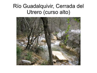 Río Guadalquivir, Cerrada del
     Utrero (curso alto)
 