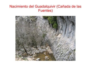 Nacimiento del Guadalquivir (Cañada de las
                Fuentes)
 
