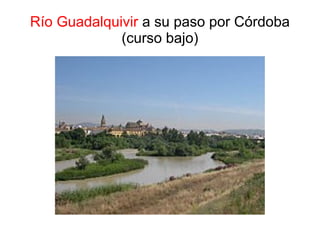 Río Guadalquivir a su paso por Córdoba
             (curso bajo)
 