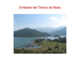 Embalse del Tranco de Beas
 