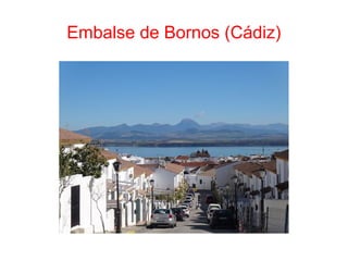 Embalse de Bornos (Cádiz)
 