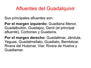 Afluentes del Guadalquivir
Sus principales afluentes son:
Por el margen izquierdo: Guadiana Menor,
Guadalbullón, Guadajoz, Genil (el principal
afluente), Corbones y Guadaíra.
Por el margen derecho: Guadalimar, Jándula,
Yeguas, Guadalmellato, Guadiato, Bembézar,
Rivera del Huéznar, Viar, Rivera de Huelva y
Guadiamar.
 
