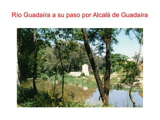 Río Guadaíra a su paso por Alcalá de Guadaíra
 