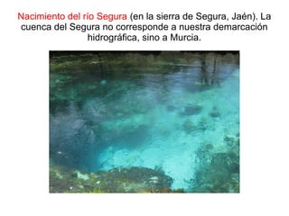 Nacimiento del río Segura (en la sierra de Segura, Jaén). La
cuenca del Segura no corresponde a nuestra demarcación
                 hidrográfica, sino a Murcia.
 