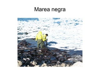 Marea negra
 