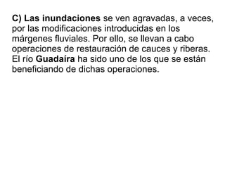C) Las inundaciones se ven agravadas, a veces,
por las modificaciones introducidas en los
márgenes fluviales. Por ello, se llevan a cabo
operaciones de restauración de cauces y riberas.
El río Guadaíra ha sido uno de los que se están
beneficiando de dichas operaciones.
 