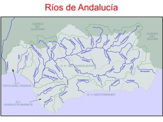 Ríos de Andalucía
 