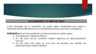 Hidrografía y tipos de suelo