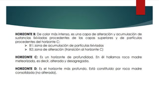 Hidrografía y tipos de suelo