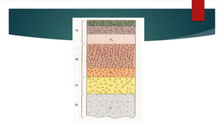 Hidrografía y tipos de suelo