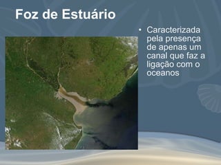 Foz de Estuário Caracterizada pela presença de apenas um canal que faz a ligação com o oceanos 