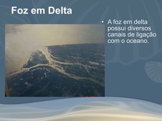 Foz em Delta A foz em delta possui diversos canais de ligação com o oceano. 