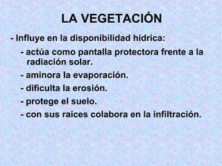 LA VEGETACIÓN
- Influye en la disponibilidad hídrica:
  - actúa como pantalla protectora frente a la
    radiación solar.
  - aminora la evaporación.
  - dificulta la erosión.
  - protege el suelo.
  - con sus raíces colabora en la infiltración.
 