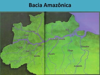 Bacia Amazônica