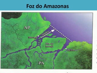 Foz do Amazonas