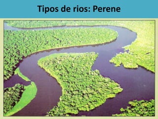 Tipos de rios: Perene