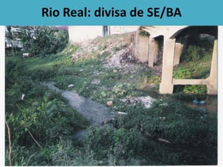 Rio Real: divisa de SE/BA