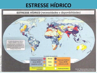 ESTRESSE HÍDRICO