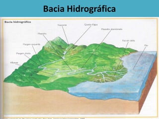 Bacia Hidrográfica