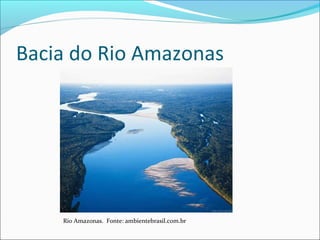 Bacia do Rio Amazonas

Rio Amazonas. Fonte: ambientebrasil.com.br

 