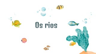 Os rios
 