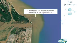 É o ponto onde o rio termina, geralmente
desaguando no mar, lago ou outro rio.
Foz
(Desembocadura)
 