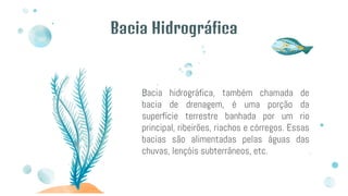 Bacia Hidrográfica
Bacia hidrográfica, também chamada de
bacia de drenagem, é uma porção da
superfície terrestre banhada por um rio
principal, ribeirões, riachos e córregos. Essas
bacias são alimentadas pelas águas das
chuvas, lençóis subterrâneos, etc.
 
