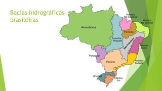 Bacias hidrográficas
brasileiras
 