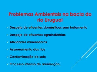 Problemas Ambientais na bacia do
rio Uruguai
 Despejo de efluentes domésticos sem tratamento
 Despejo de efluentes agroindústrias
 Atividades mineradoras
 Assoreamento dos rios
 Contaminação do solo
 Processo intenso de arenização.
 