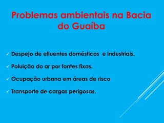 Problemas ambientais na Bacia
do Guaíba
 Despejo de efluentes domésticos e industriais.
 Poluição do ar por fontes fixas.
 Ocupação urbana em áreas de risco
 Transporte de cargas perigosas.
 