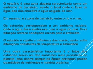 O estuário é uma zona alagada caracterizada como um
ambiente de transição, sendo o local onde o fluxo de
água dos rios encontra a água salgada do mar.
Em resumo, é a zona de transição entre o rio e o mar.
Os estuários correspondem a um ambiente salobro,
onde a água doce mistura-se com a água do mar. Essa
situação oferece condições únicas para o ambiente.
O estuário é sujeito a influência das marés, assim sofre
alterações constantes de temperatura e salinidade.
Uma outra característica importante é o fatos dos
estuários serem um dos ambientes mais produtivos do
planeta. Isso ocorre porque as águas carregam grande
quantidade de nutrientes e matéria orgânica.
 