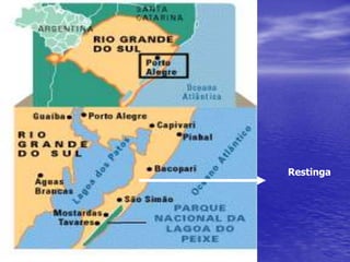 Restinga
 