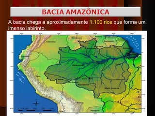 A bacia chega a aproximadamente 1.100 rios que forma um
imenso labirinto.
 